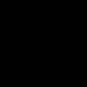 Meet your Posher, Lupe